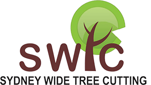 Sydney Tree Cutting